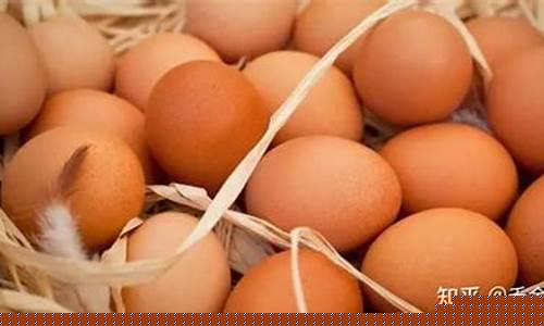 期货鸡蛋一手多少钱(商品期货鸡蛋一手金额)_https://www.hhdlqc.com_大商所_第1张