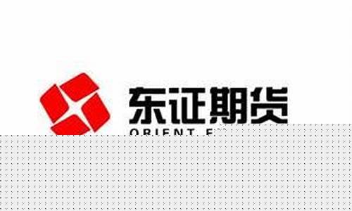 上海东证期货官网首页(东证期货股份有限公司)_https://www.hhdlqc.com_中金所_第1张