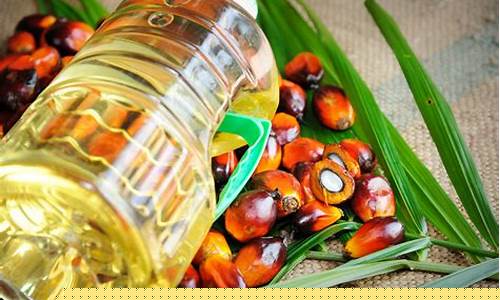 棕榈油期货(棕榈油期货实时行情)_https://www.hhdlqc.com_上期能源_第1张