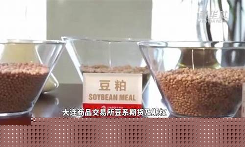 豆期货(美国大豆期货)_https://www.hhdlqc.com_上期能源_第1张