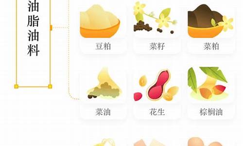 期货多品种(期货多品种重仓)_https://www.hhdlqc.com_上期所_第1张