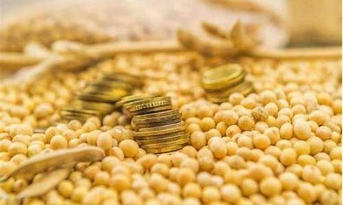 大豆期货交易(大豆期货交易总结报告)_https://www.hhdlqc.com_上期所_第1张