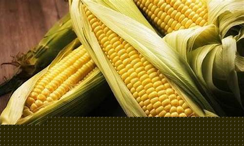 玉米是期货(玉米是期货食品吗)_https://www.hhdlqc.com_大商所_第1张
