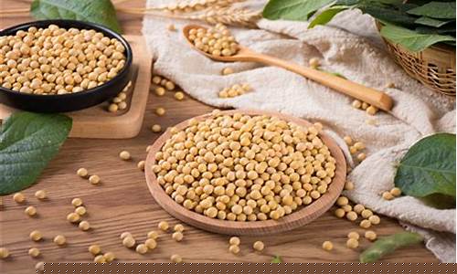 期货大豆(期货大豆油的行情走势)_https://www.hhdlqc.com_中金所_第1张