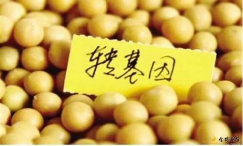 大豆期货(大豆期货合约)_https://www.hhdlqc.com_上期能源_第1张