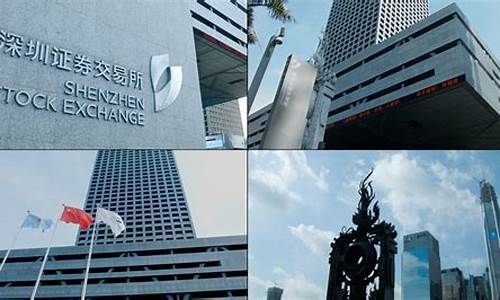 深圳期货交易(深圳期货交易中心)_https://www.hhdlqc.com_广期所_第1张