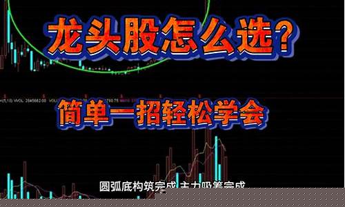 怎么样找板块龙头股(怎么找一个板块的龙头股)_https://www.hhdlqc.com_广期所_第1张