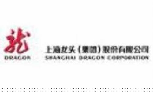 龙头股份怎么样(龙头股份公司简介)_https://www.hhdlqc.com_上期所_第1张