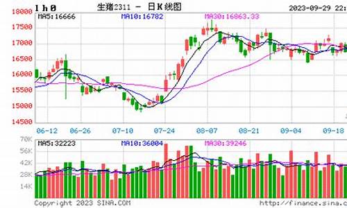 猪肉期货实时行情查询最新(猪肉期货实时行情查询最新消息)_https://www.hhdlqc.com_郑商所_第1张
