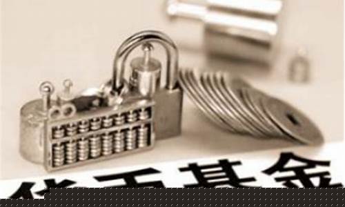 货币基金etf购买技巧(场内货币etf每日收益怎么给)_https://www.hhdlqc.com_广期所_第1张