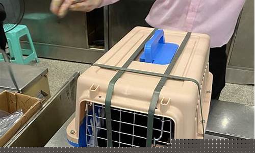 航空托运猫需要什么手续(航空托运猫需要多少钱)_https://www.hhdlqc.com_大商所_第1张