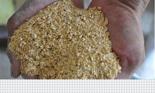 豆粕多少钱一吨(豆粕多少钱一斤)_https://www.hhdlqc.com_大商所_第1张