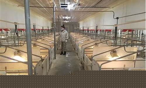 生猪养殖龙头企业有哪15个(生猪养殖属于什么行业)_https://www.hhdlqc.com_郑商所_第1张