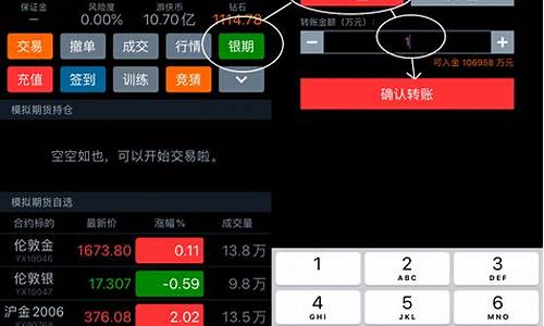 期货模拟账户(期货模拟账户资金怎么修改)_https://www.hhdlqc.com_广期所_第1张