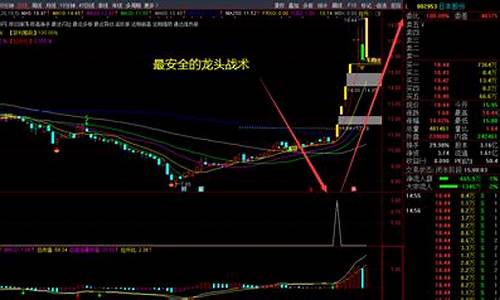 龙头股战法的25节视频课程(龙头股战法的精准买法)_https://www.hhdlqc.com_广期所_第1张