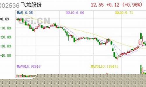 飞龙股份11月6日快速回调(飞龙股份11月6日快速回调价格)_https://www.hhdlqc.com_郑商所_第1张