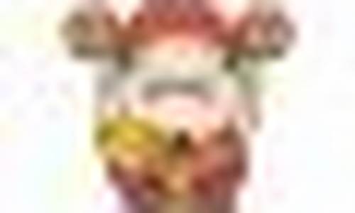 期货哪里可以开户(期货在哪里开户比较好)_https://www.hhdlqc.com_上期所_第1张