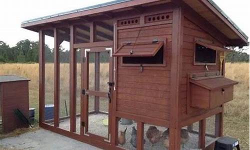 鸡舍怎么搭建最好(室内鸡舍怎么搭建最好)_https://www.hhdlqc.com_大商所_第1张