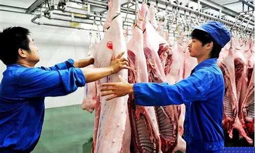 屠宰场猪肉价格查询(今日香港猪肉价格查询)_https://www.hhdlqc.com_上期所_第1张