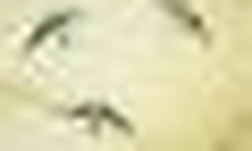 现货黄金和黄金期货(现货黄金和黄金期货哪个风险)_https://www.hhdlqc.com_大商所_第1张
