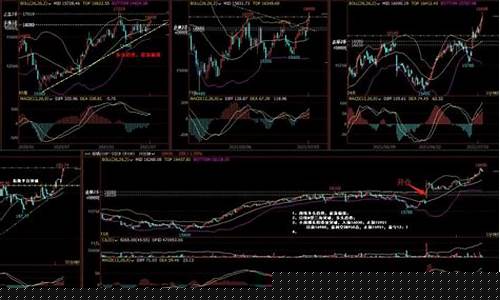 期货老手(期货老手008的微博)_https://www.hhdlqc.com_上期所_第1张