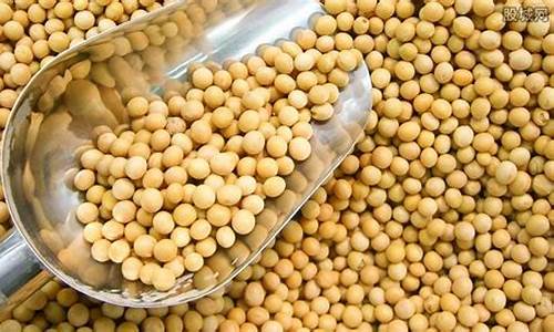 大豆期货最新消息(大豆期货最新消息今天)_https://www.hhdlqc.com_中金所_第1张