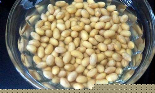 豆子泡涨了的涨是什么意思(豆子泡久了发芽还能吃吗)_https://www.hhdlqc.com_广期所_第1张