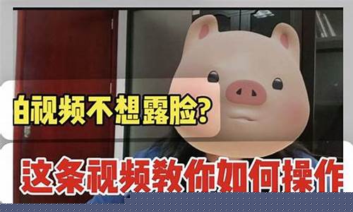 不露脸适合做什么类型自媒体(如何从零开始做自媒体)_https://www.hhdlqc.com_上期能源_第1张