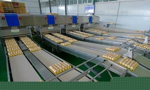 蛋鸡期货(蛋鸡期货问题)_https://www.hhdlqc.com_中金所_第1张