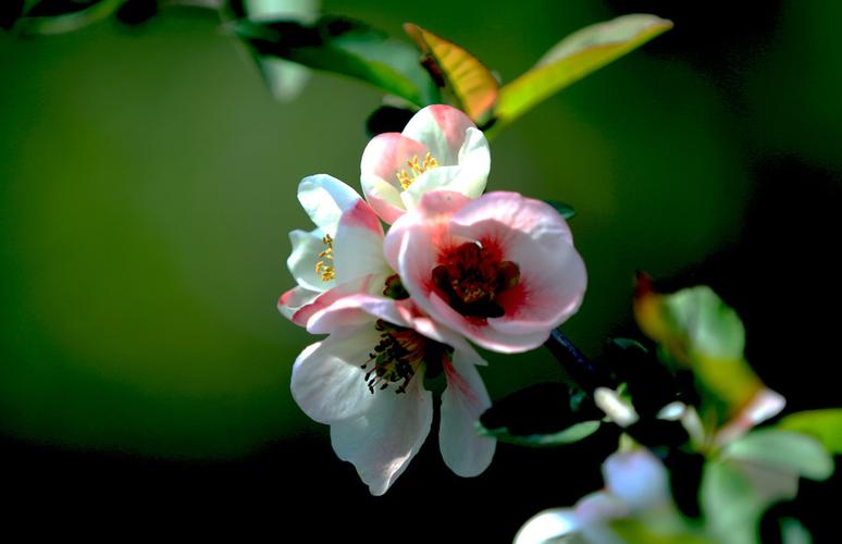神奇九转指标使用技巧(神奇九转出现6后买入可以吗)_https://www.hhdlqc.com_上期能源_第1张