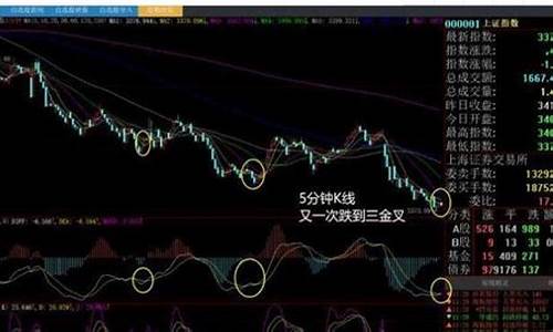 什么是白马股票 有什么特点呢(白马股的定义)_https://www.hhdlqc.com_广期所_第1张