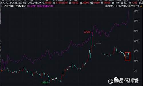 为什么猪肉股最近在涨(猪肉股票涨价原因)_https://www.hhdlqc.com_郑商所_第1张