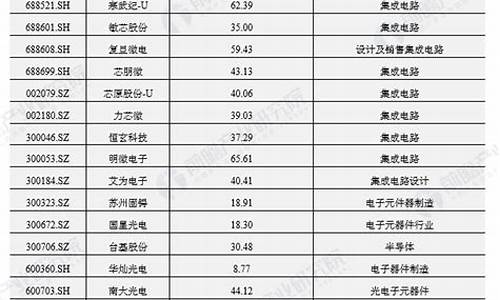 中国最大的半导体公司(中国最大的半导体公司是哪个公司)_https://www.hhdlqc.com_广期所_第1张