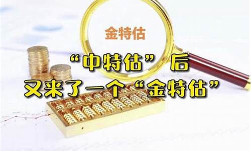金特估概念股是什么意思(金特集团)_https://www.hhdlqc.com_中金所_第1张