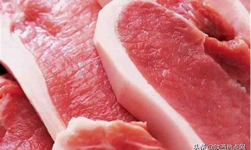 猪肉涨价概念是什么(猪肉涨价概念是什么行业)_https://www.hhdlqc.com_大商所_第1张