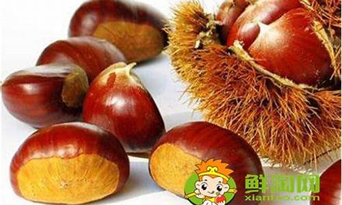 补肾一天吃几颗板栗好(滋补男性的最佳补品)_https://www.hhdlqc.com_广期所_第1张