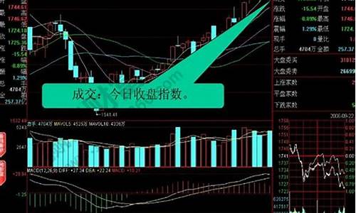 股票大盘指的是什么(股票大盘是什么意思)_https://www.hhdlqc.com_大商所_第1张