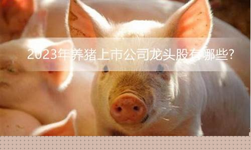 养猪股票的龙头是哪个(养猪股票有哪些龙头股创业板)_https://www.hhdlqc.com_上期能源_第1张
