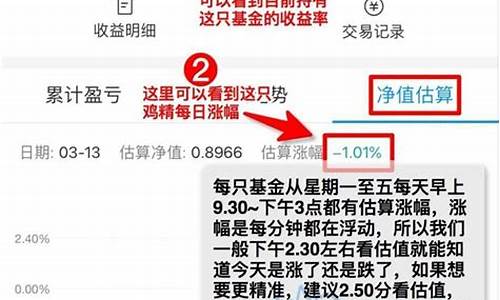 现在怎么看基金估值(现在怎么看基金估值多少)_https://www.hhdlqc.com_广期所_第1张