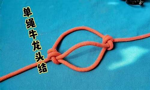 牛龙头的新打法视频教程(牛龙头最佳打法)_https://www.hhdlqc.com_郑商所_第1张