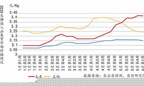 生猪养殖行业现状及发展前景(2024年养猪前景如何)_https://www.hhdlqc.com_上期所_第1张