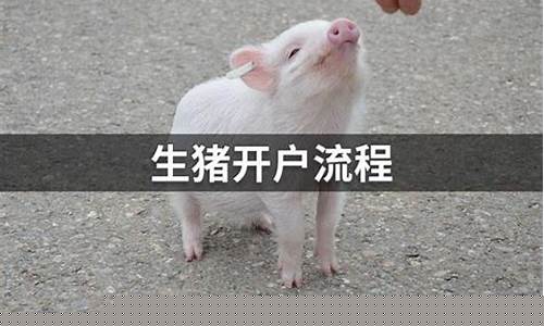 生猪期货怎么操作(生猪期货操作流程)_https://www.hhdlqc.com_郑商所_第1张