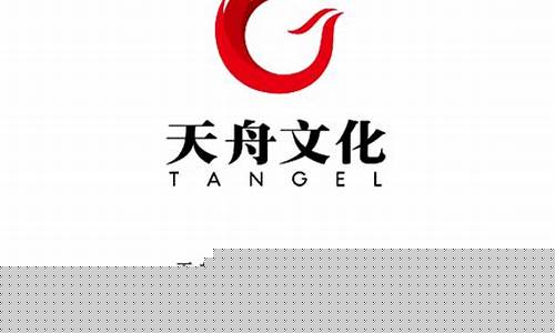 天舟文化2020年报(天舟文化上市日期)_https://www.hhdlqc.com_中金所_第1张