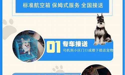 国内航班宠物托运价格(国内航班托运宠物多少钱)_https://www.hhdlqc.com_中金所_第1张