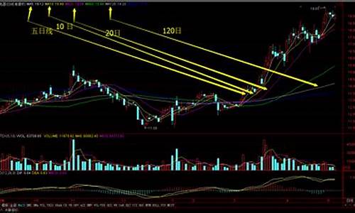 怎么炒股票新手入门知乎(如何炒股票新手入门知识)_https://www.hhdlqc.com_中金所_第1张