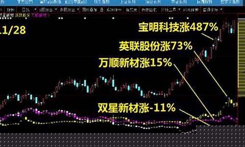 双星新材股市直播时间表(双星新材股市直播时间表最新)_https://www.hhdlqc.com_广期所_第1张
