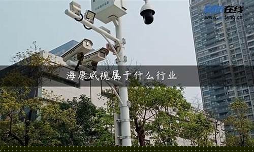 海康威视属于什么板块(海康威视是a股吗)_https://www.hhdlqc.com_上期所_第1张