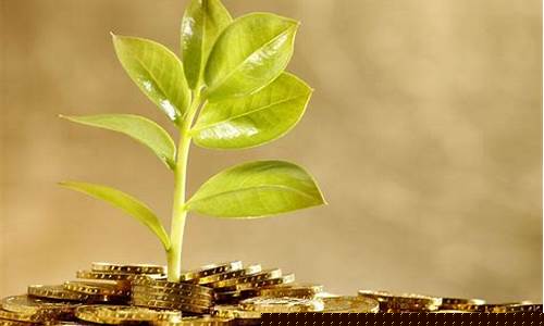 潜力股含义(潜力股啥意思)_https://www.hhdlqc.com_广期所_第1张