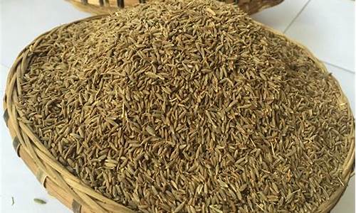 印度孜然期货网(今日印度进口孜然价格)_广期所_第1张_财经网 印度孜然期货网(今日印度进口孜然价格)_https://www.hhdlqc.com_广期所_第1张