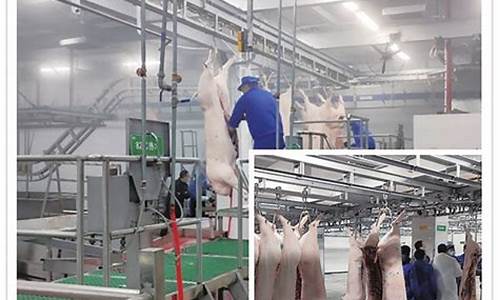 屠宰场厂家联系方式(生猪屠宰设备一套多少钱)_上期所_第1张_财经网 屠宰场厂家联系方式(生猪屠宰设备一套多少钱)_https://www.hhdlqc.com_上期所_第1张